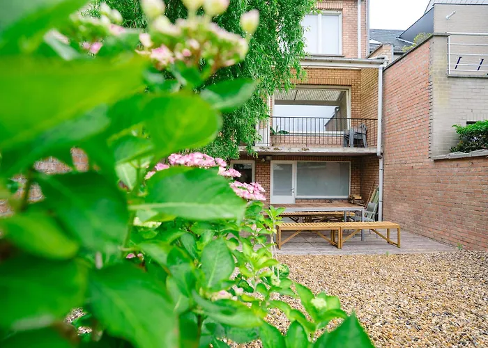 Rae Сasa de vacaciones